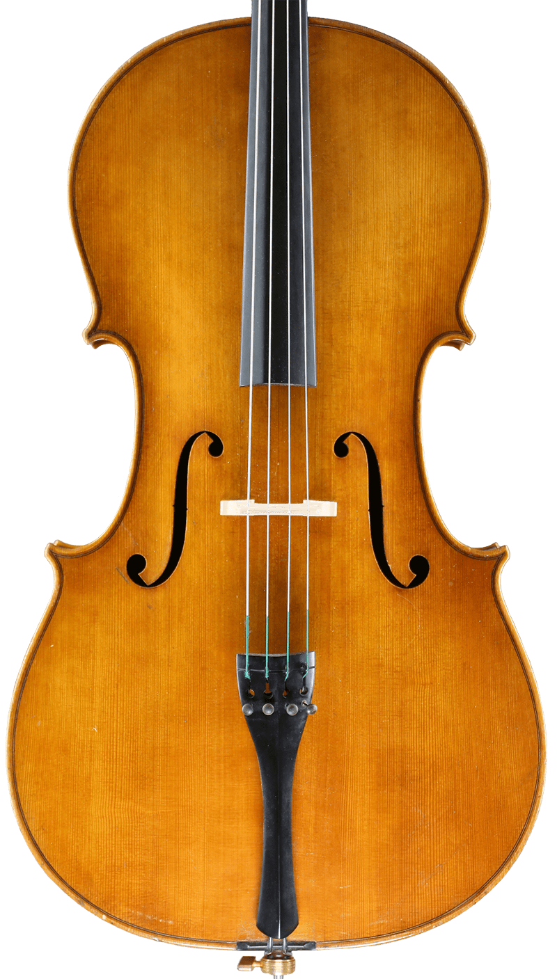 Buy cello from luthier . van der Heyd Violins