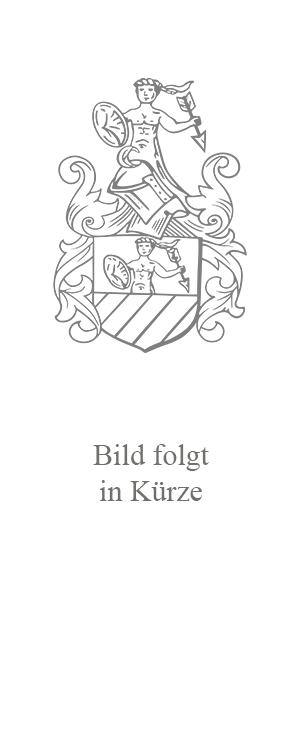 van der Heyd Violins | Kontrabass Handel | Bild folgt in Kürze