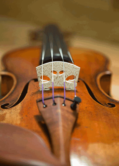 van der Heyd Violins | Neubau