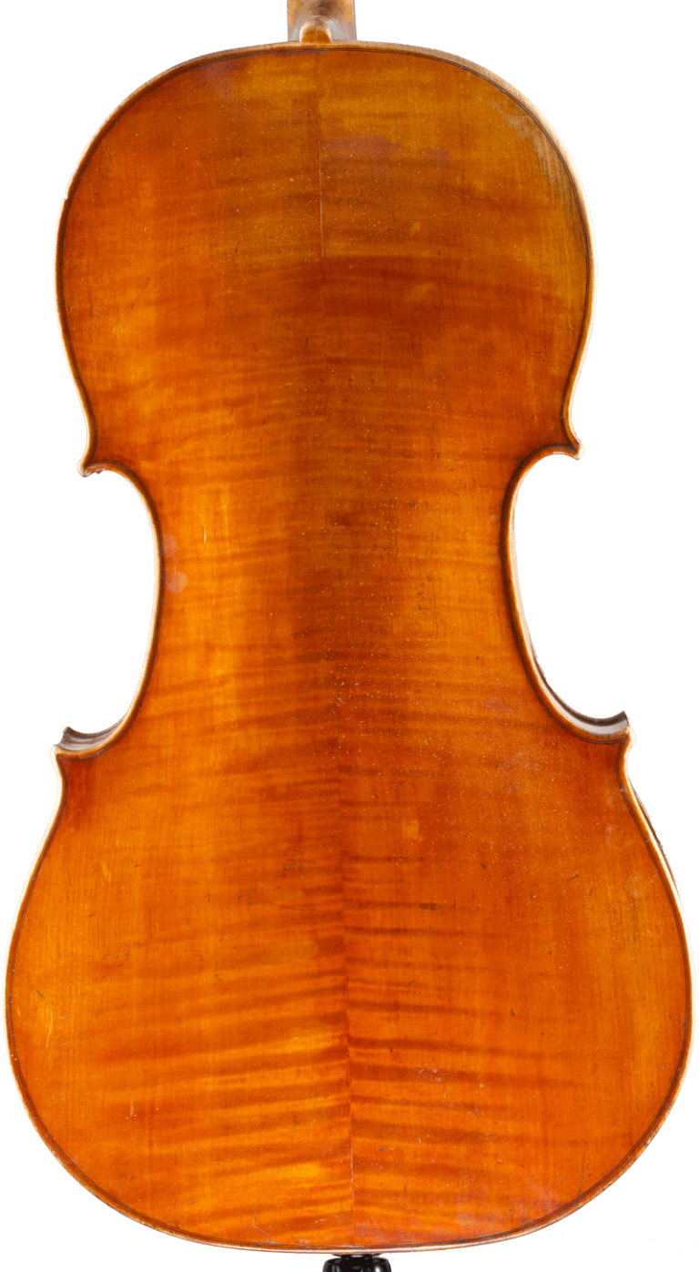 200306-vdH-img-Cello-Blume-Marelle-Boden-3F5A6736